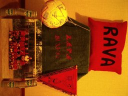 0DIA 1984 RAVA PUPS 1